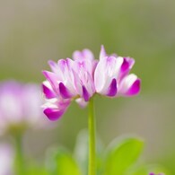 IMGP6457
