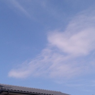 空2