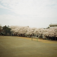 春休みの校庭