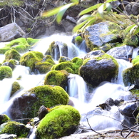 象ヶ沢湧水噴水