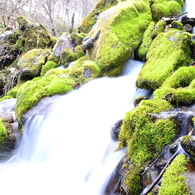 象ヶ沢湧水噴水