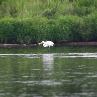 IMG_2699a