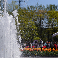 Fountain