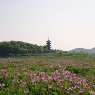 IMGP6606