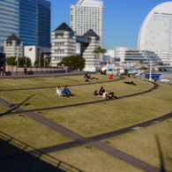 冬のくつろぎ