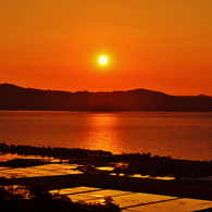 水田と琵琶湖の夕陽    4-1