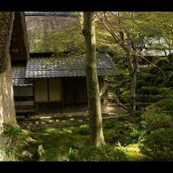 近江名刹紀行【石の寺－教林坊】　心の風景