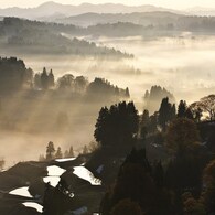 光彩陸離