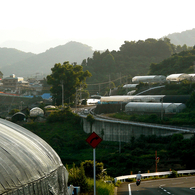 Nagasaki Local road No.34