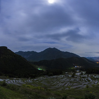 月夜の丸山千枚田