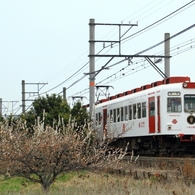 梅といちご電車