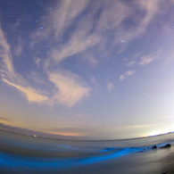 夜光虫と星空