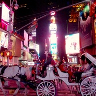 Manhattan Journal 2013 #5： 観光馬車＠Times Sq