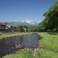 緑の洗沢川-1