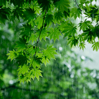 驟 雨