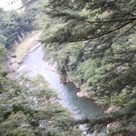鬼怒楯岩大吊橋1