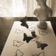 蝶と石膏像