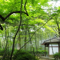 悲恋寺