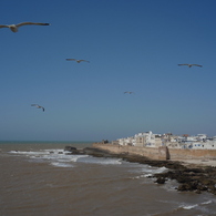 Essaouira,Morocco