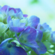 Especially for you♪