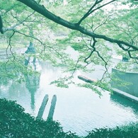 勝尾寺