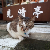えのしまさんぽ
