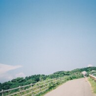 パラソル