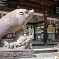 狛猪さまの見つめる先には...