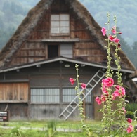 白川郷