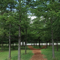 モエレ沼公園9