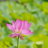 IMGP8805
