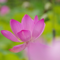 IMGP8819
