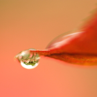 Aqueous Jewel 4