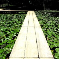 DSCN0119