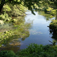 柿田川公園①