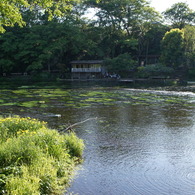 柿田川公園②