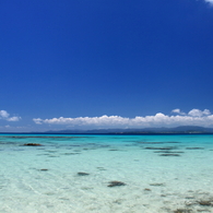 遠浅の海