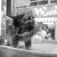 2012.12.31 TOKYO