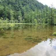 明神池2