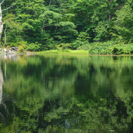 Reflection
