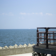 ぼくの秘密基地