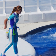 水族館イルカショー２