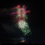 南の国の花束