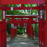 photo_2732568