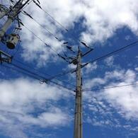 久しぶりの青い空