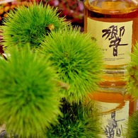 秋の使者