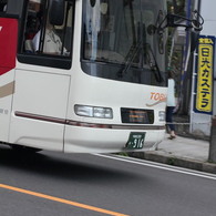 日光の足。