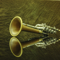 Piccolo Trumpetのカタログみたいに撮れました（爆）