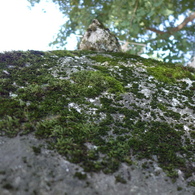 P1000851