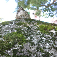 P1000852